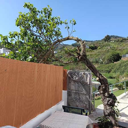 Vv Rural Finca Ecocielo Vega de San Mateo Εξωτερικό φωτογραφία