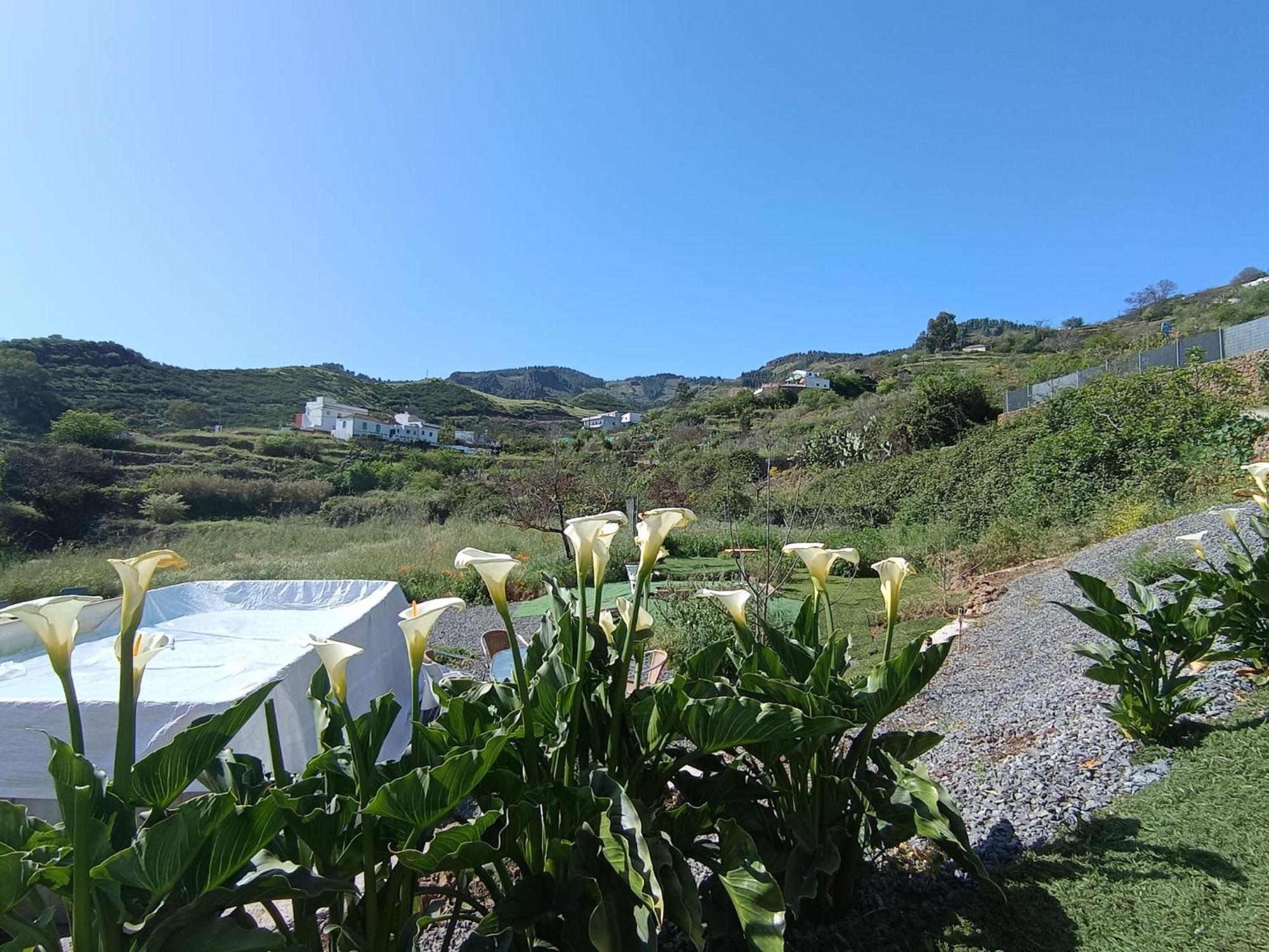 Vv Rural Finca Ecocielo Vega de San Mateo Εξωτερικό φωτογραφία